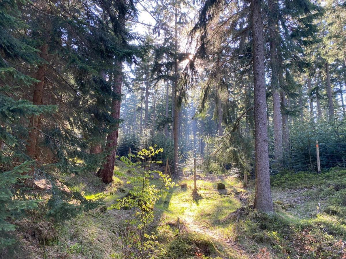 Willa Gencjana Szklarska Poręba Exterior foto